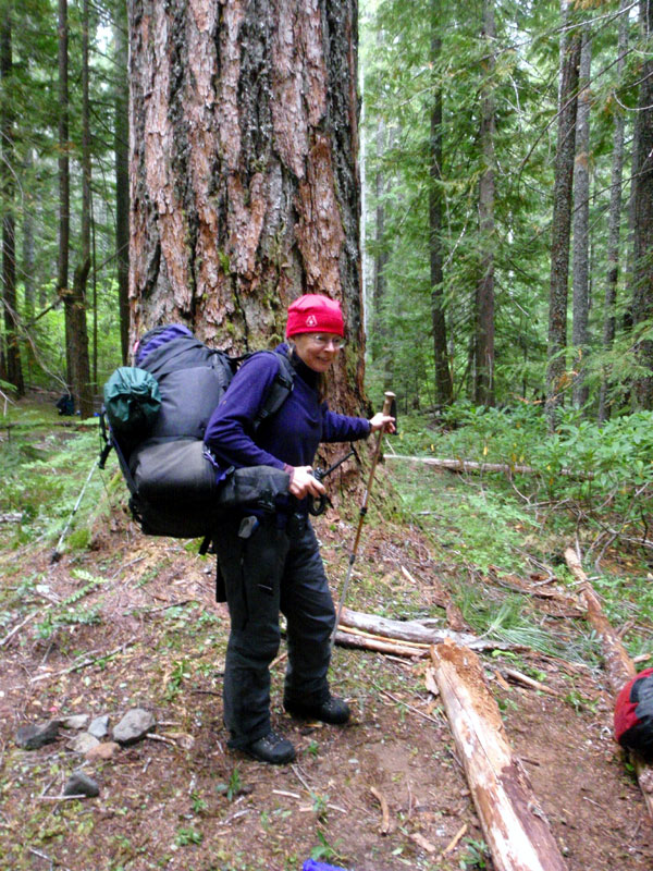 Maryanne, ready to start searching next segment