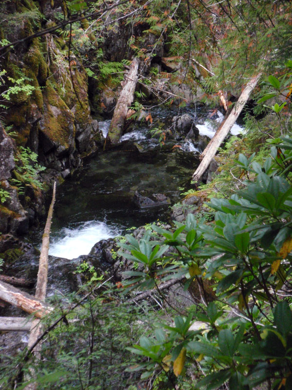 Falls in narrow canyon on French Pete