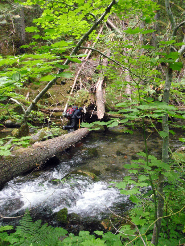 Brian avoiding deep pool in French Pete