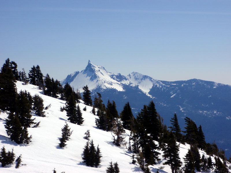 Next moning, Thielsen from trail into the bowl