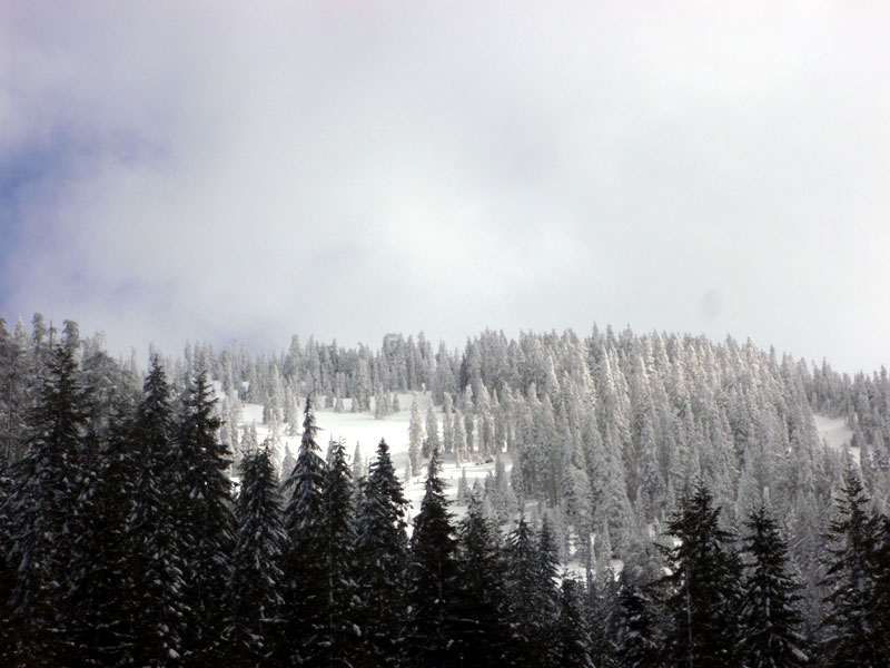 West slope of Fairview Peak