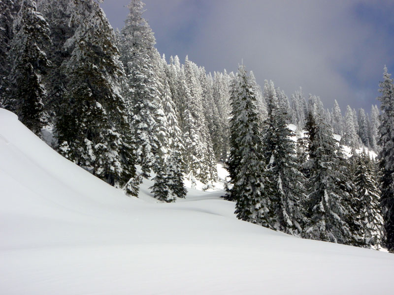 Start of road up Fairview Peak