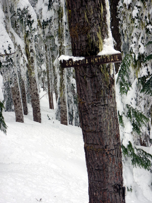 Trail sign