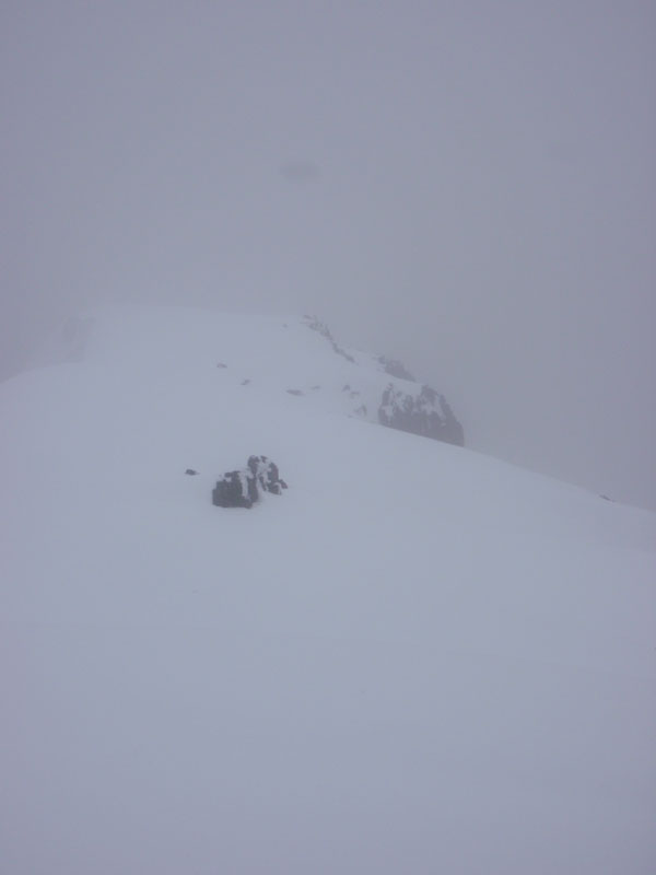 Looking east from the summit of Bohemia Mountain