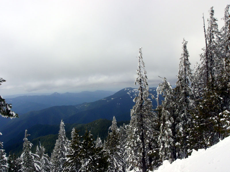 Adams Mountain from the Bohemia Mountain Trail