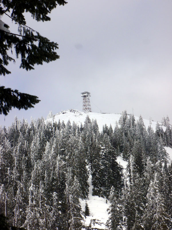 Fairview Peak lookout from just south of the Bohemia Saddle