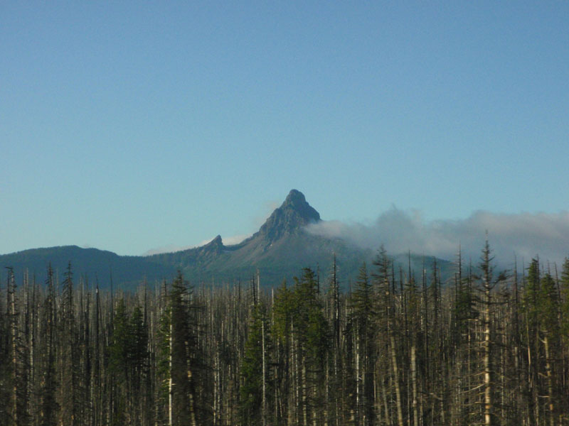 Mt. Washington, from the car