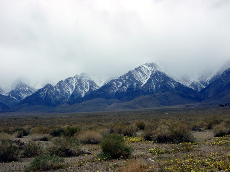 Sierras, from Independence, CA