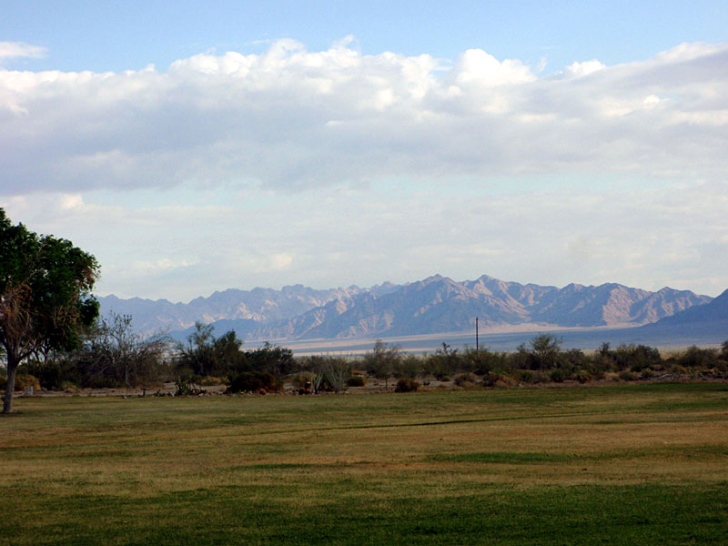 View out back porch