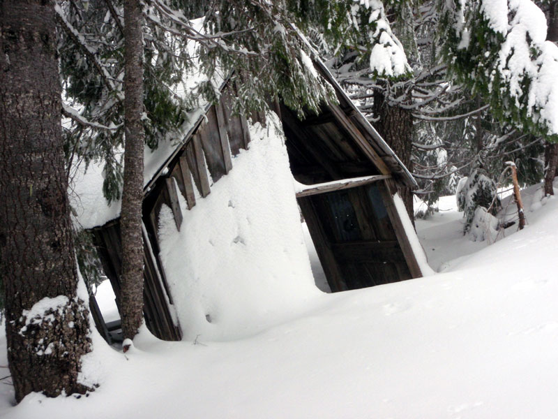 Shelter by the road