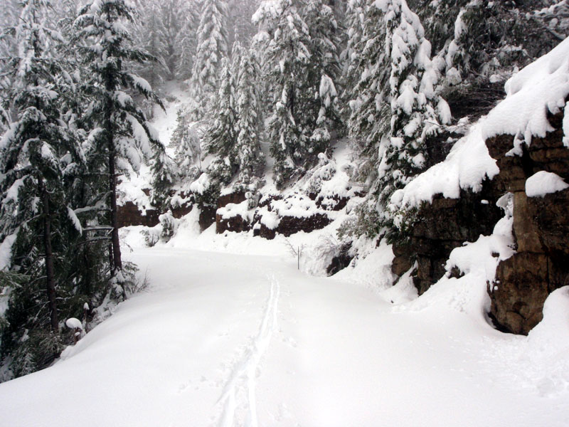 Lonely tracks down the hill