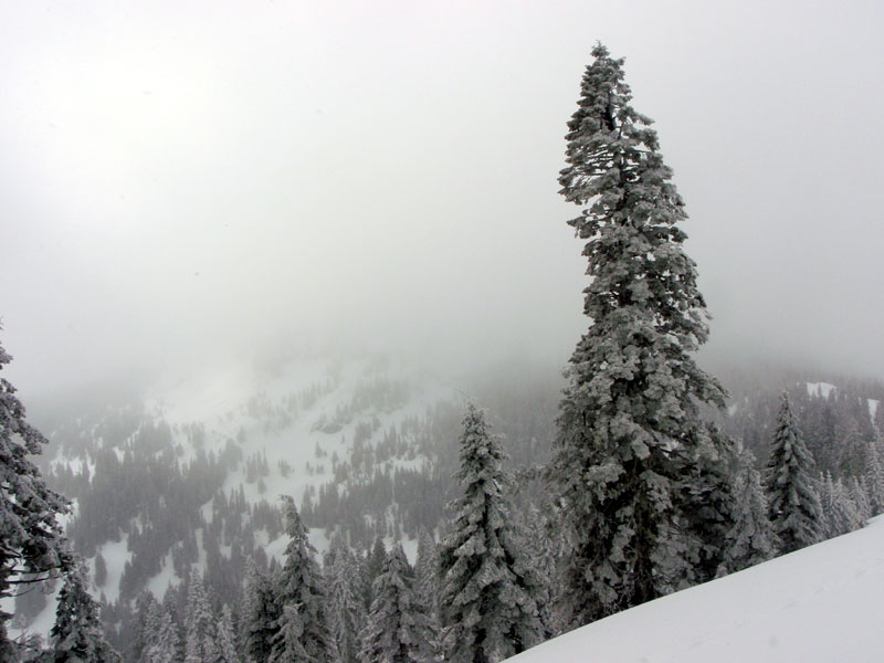 Slopes of Bohemia Mountain from road up Fairview Peak