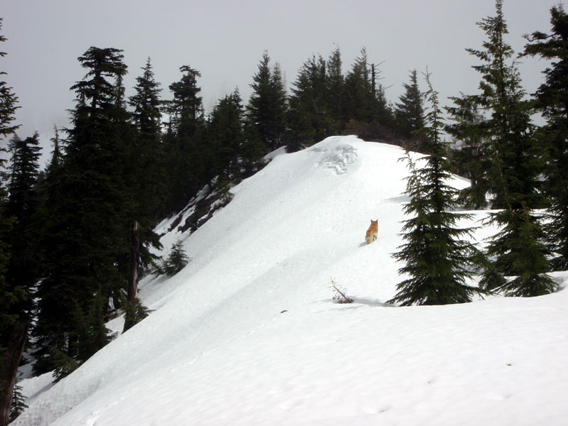 On the west ridge