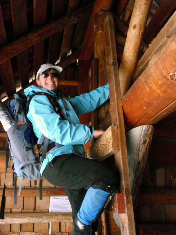 inside the shelter