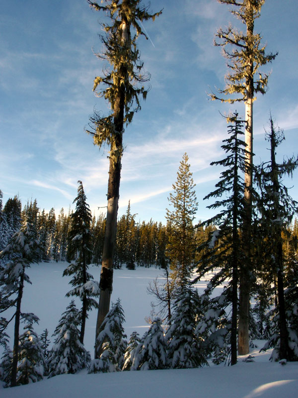 Arrowhead Lake