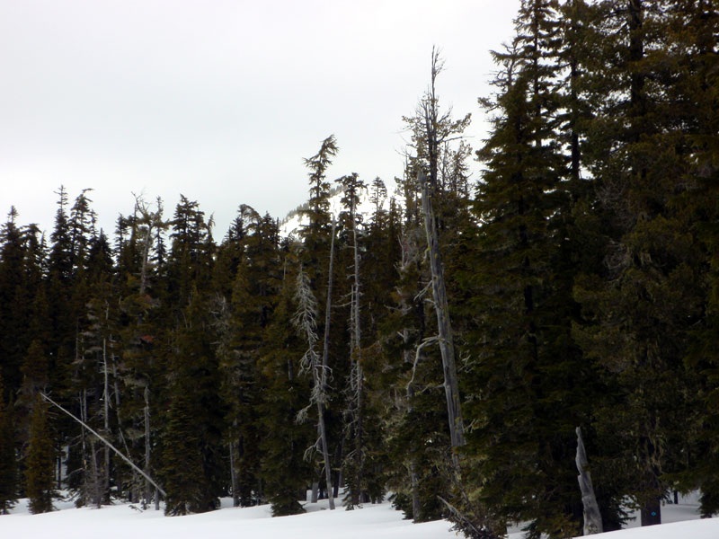 Bump on the side of Mt. Ray, from Jo Ann Lake