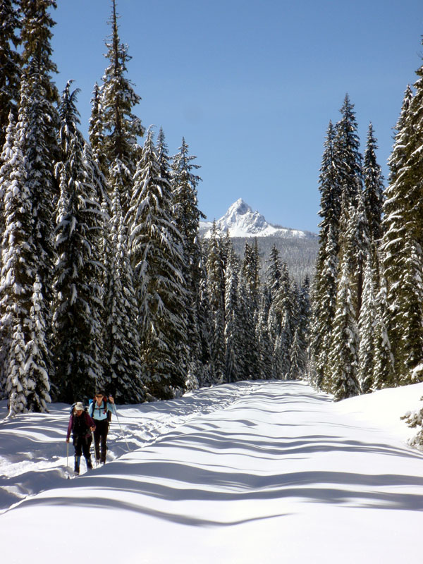 Skiing up the Waldo Road