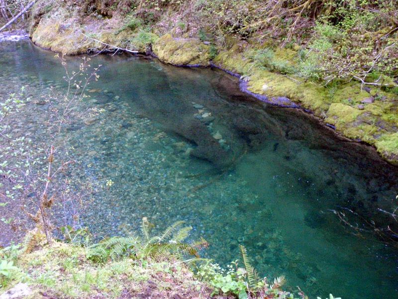 Pool near the campground