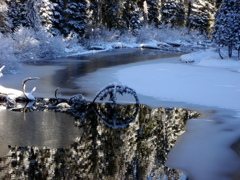 Outflow of Gold Lake&#8212;Salt Creek