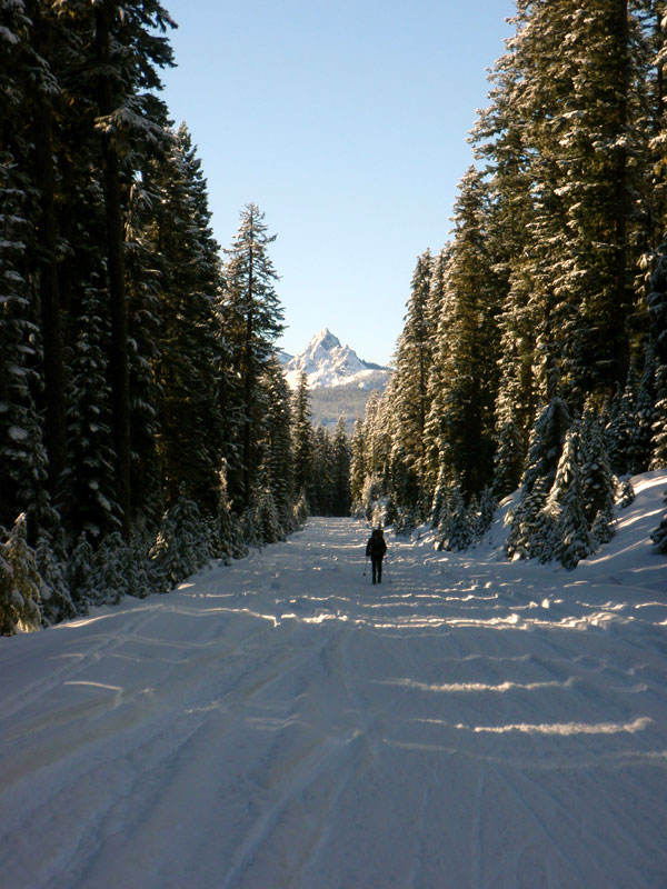 Looking back down the Waldo Road at Mt. Yoran