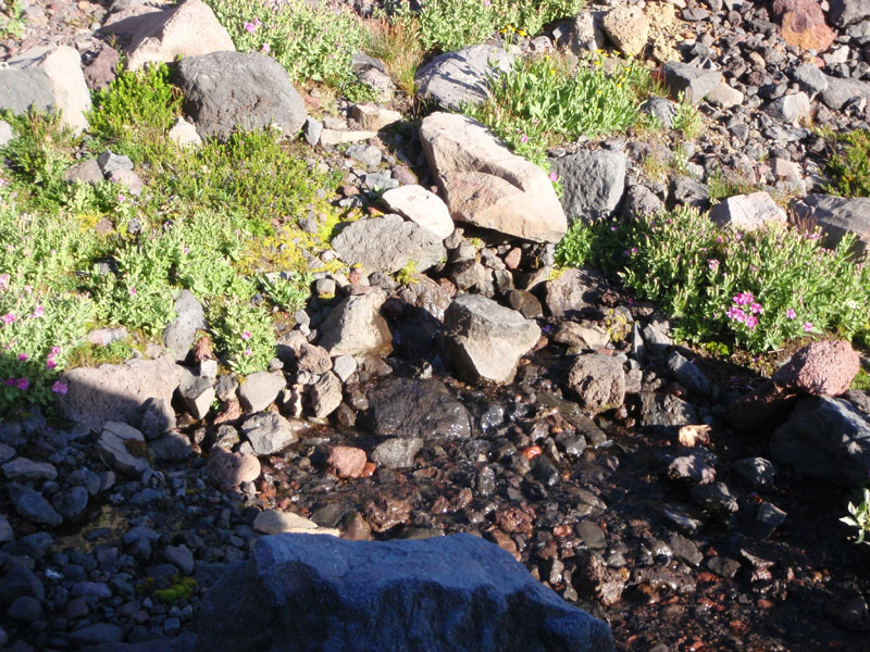 One of many springs below the terminal moraine