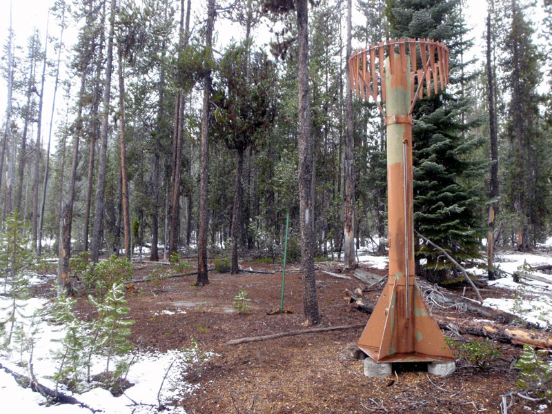 Total precip. tower, and bare snow-water equivalent pillow (between green t-posts)