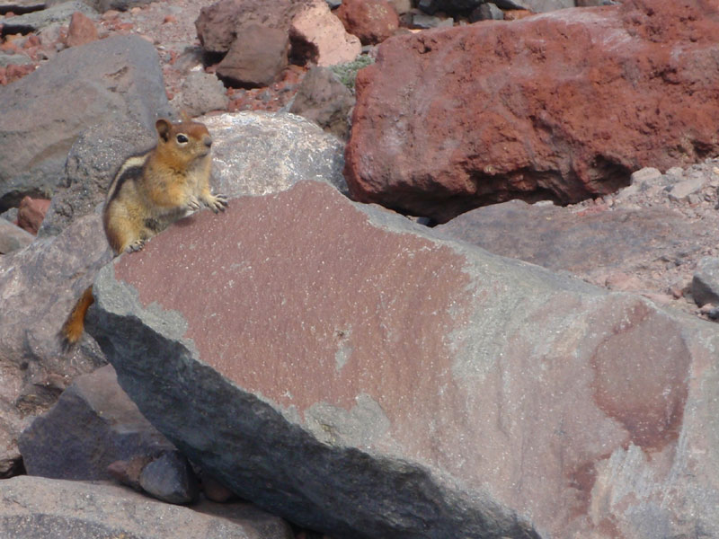 Little beggars were very persistent