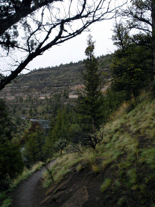 Trail down to the Falls