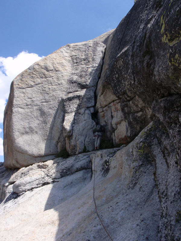 Dave leads last pitch of Zee Tree