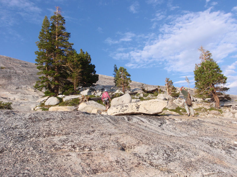 Big garden on Lembert Dome