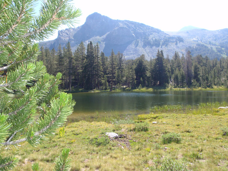 Day 6: I climb Mount Dana while Keeter (B-day boy), April and Dave climb Holdless Horror. One of the ponds at Tioga Pass