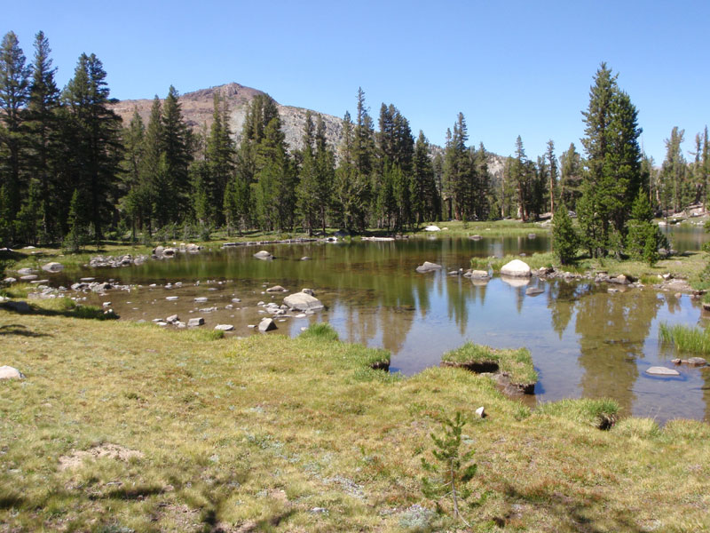 Back to Tioga Pass ponds