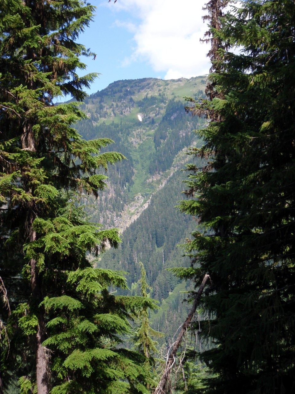 Sight along the Cady Ridge trail