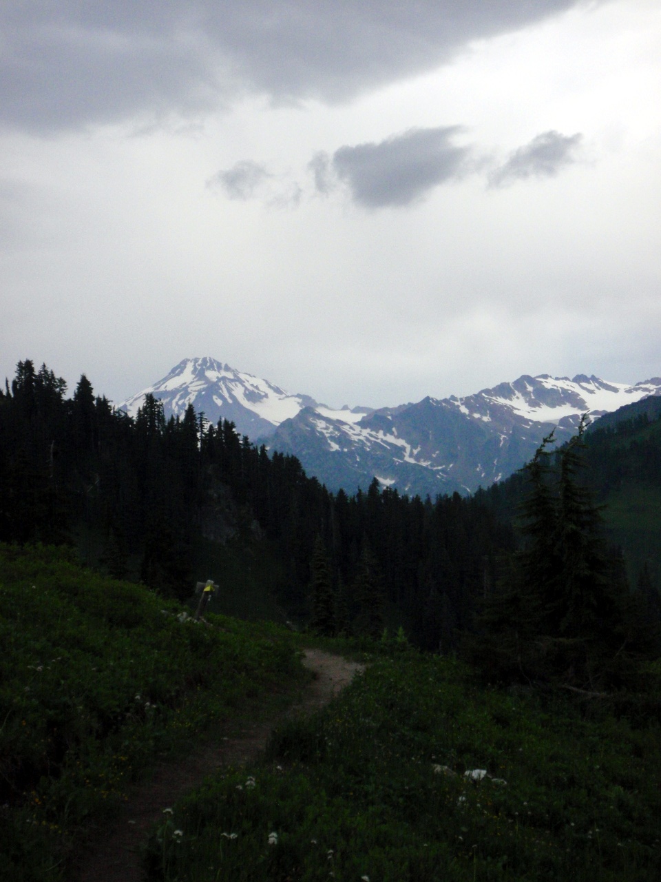 Glacier, from PCT just south of JCT with Cady Ridge TR