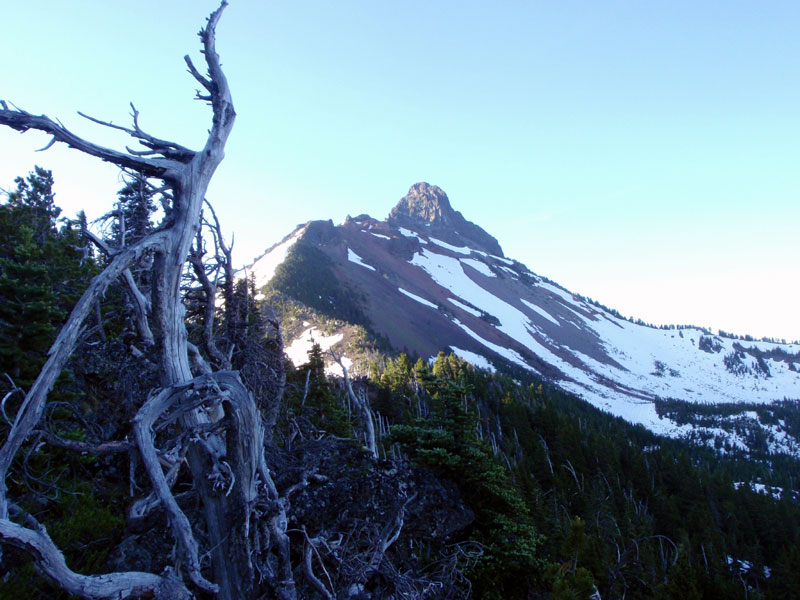 We lost the climbers trail in the snow, and picked up a spur ridge a bit lower