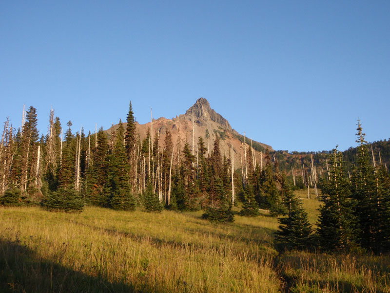 Mt. Washington from the meadow