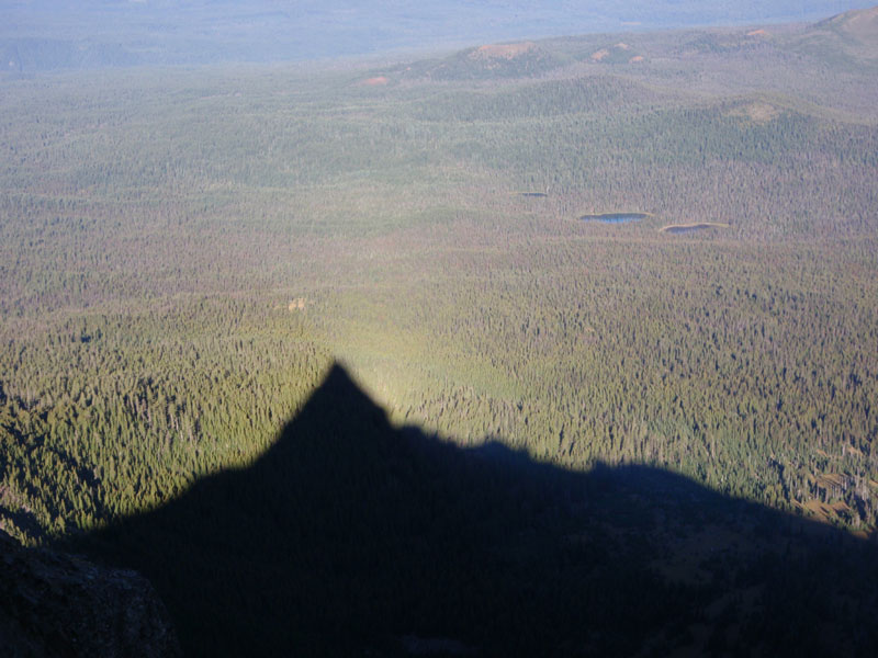 Pointier Washington shadow