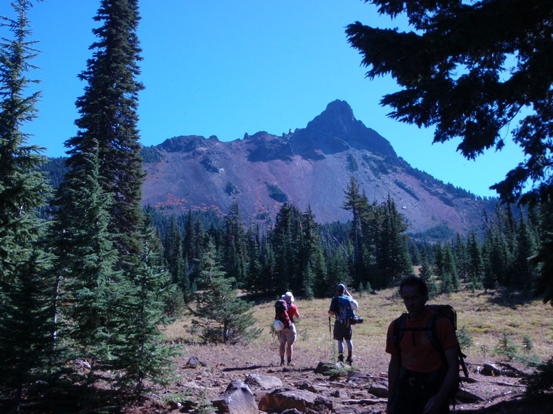 Looking back from the meadow