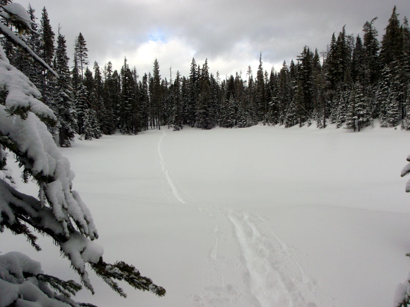 Tracks across turn-around pond