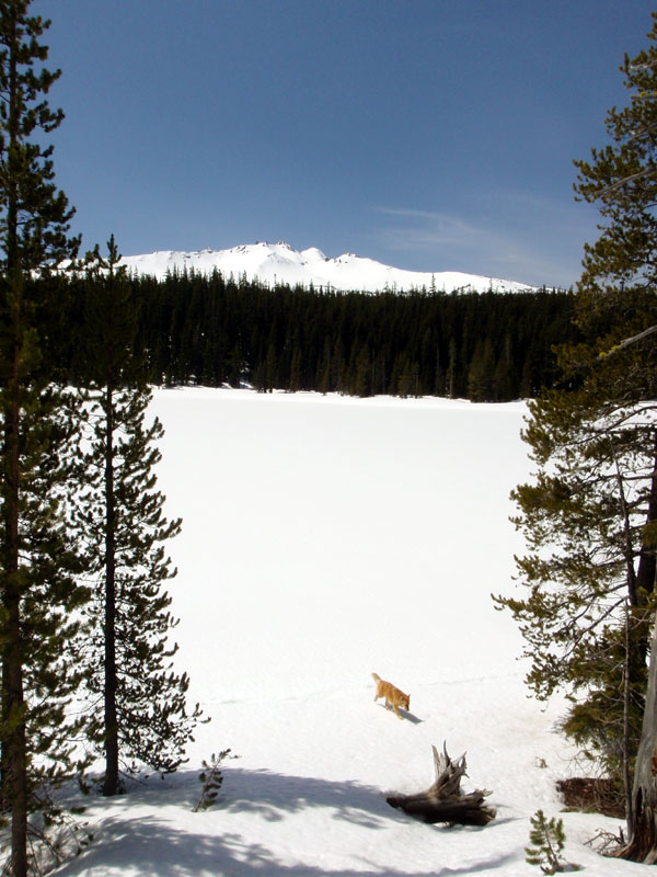 Yoran Lake and Diamond Peak