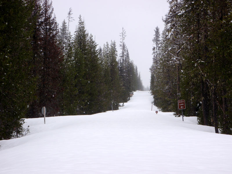 Unplowed road