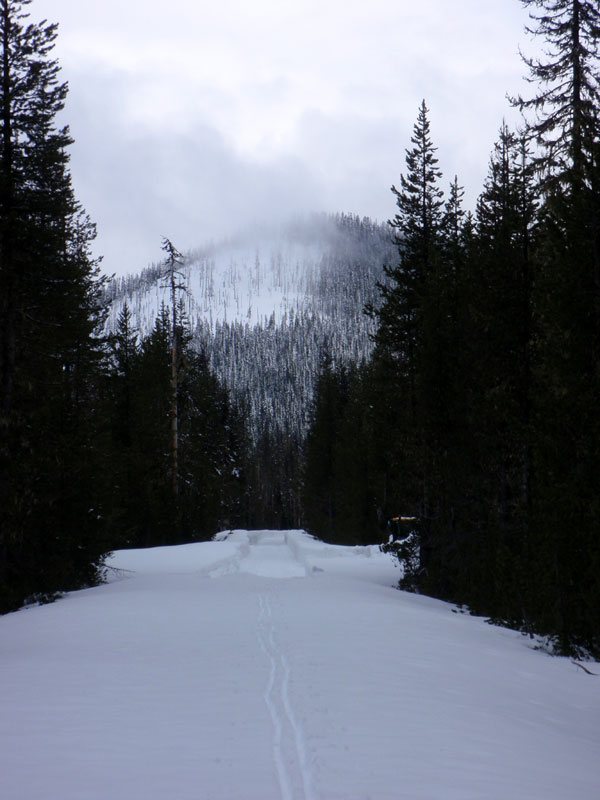 Back to the plowed road