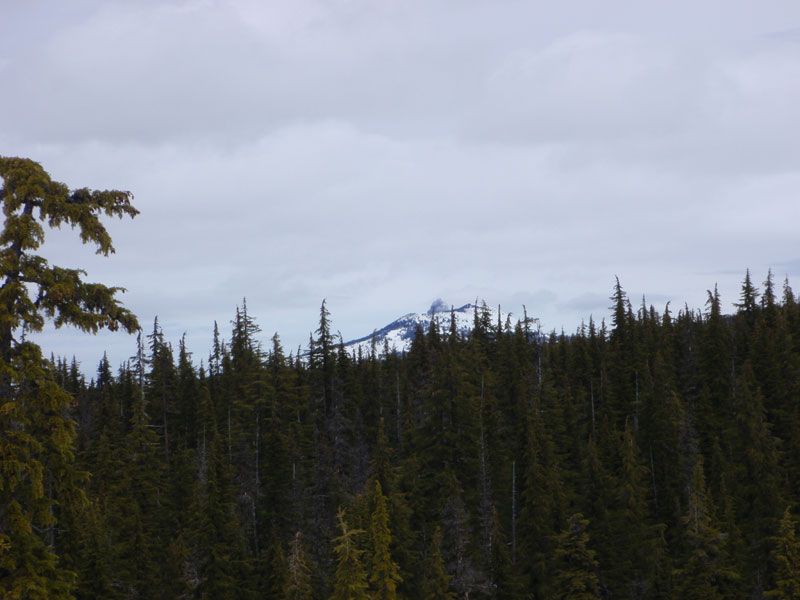 Top of Mt. Washington behind Belknap Crater