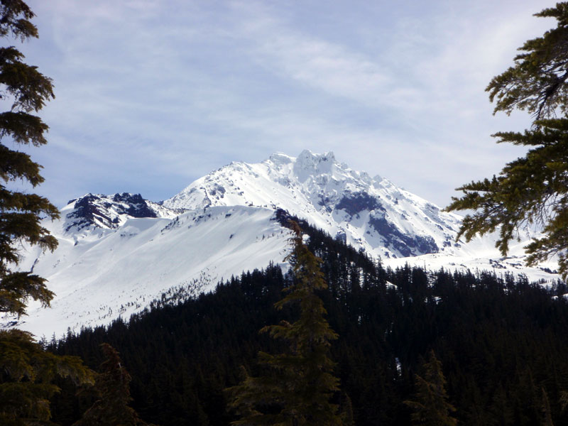 Little Brother and North Sister