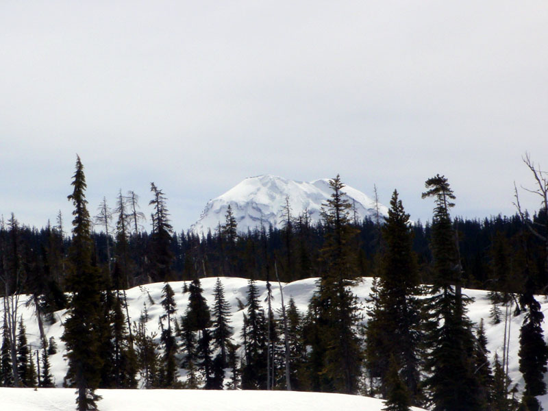 South Sister