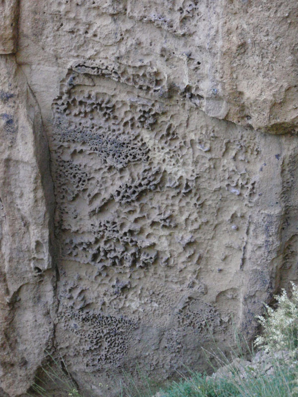 Weathering on Koala Rock