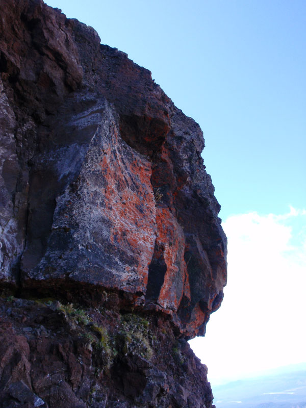 Orange lichen