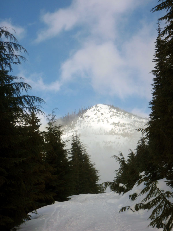 Ridge on the other side of Coal Creek