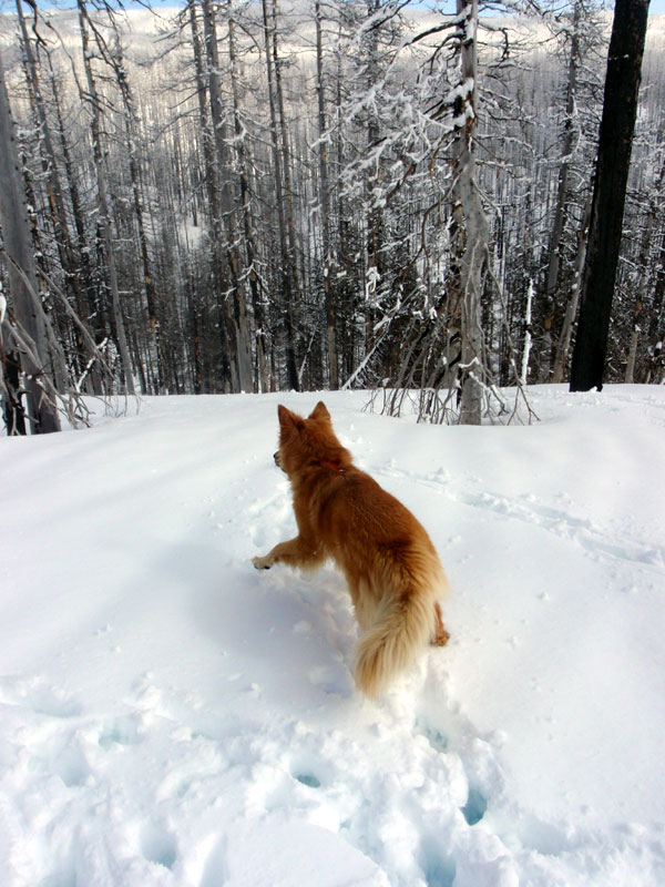 &#8220;So much untouched snow to mess up!&#8221;