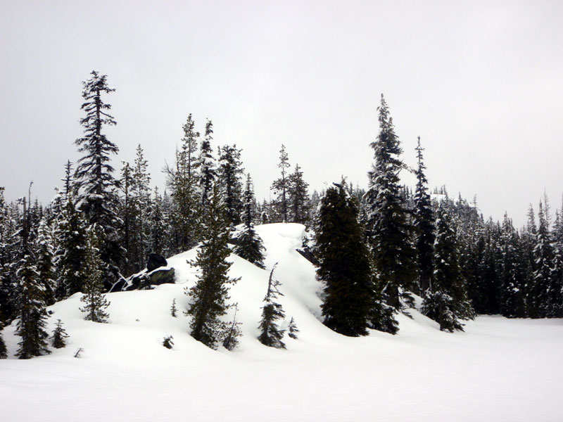 Rocky peninsula on north end of Craig Lake